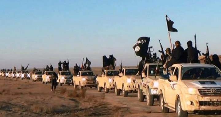 اللغز الكبير : لماذا يفضل تنظيم القاعدة والارهابيون سيارة .. هايلوكس ؟ - صور   يمن فويس
