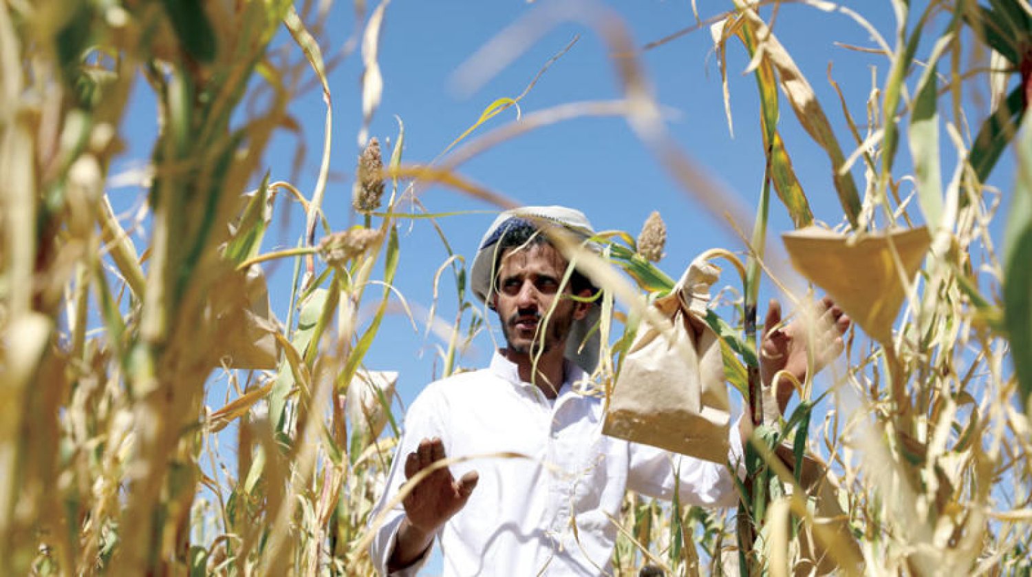 دعوات لمقاطعة المنتجات الزراعية والصناعية التي تأتي من مناطق مليشيا الحوثي