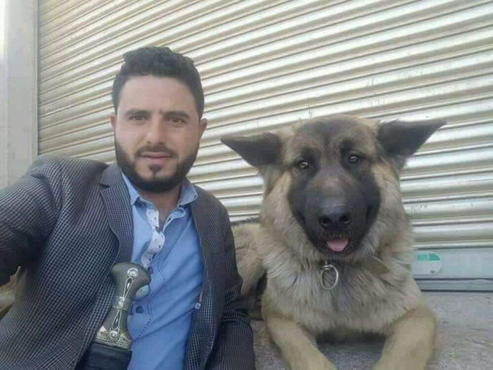 كلب حراسة رئيس يمني سابق يرفض مغادرة مكانه و مواطنون يلتقطون صوراً معه.. صورة